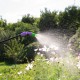 Опрыскиватель ручной с горловиной 3 л, с насосом, шлангом и разбрызгивателем Palisad (64743)