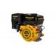 Двигатель 4,5 лс/3,3кВт 133см? 19мм шпонка 13,4кг CHAMPION G130HK