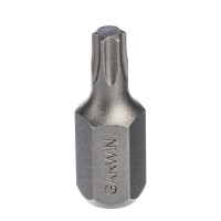 Бита, с шестигранным хвостовиком, 10 мм, T25, 30 мм, 1 шт, GARWIN PRO, 631025-T25