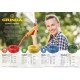 Поливочный шланг STANDARD, 1/2, 50 м, 20 атм, трёхслойный, армированный GRINDA 429000-1/2-50