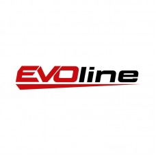 Двигатель бензиновый EVOline 190 F-2 (для генераторов) (произведено Zongshen)