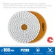 Круг алмазный гибкий шлифовальный АГШК 100 мм, №200, мокрое шлифование ЗУБР Профессионал 29866-200