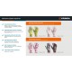 GRINDA COMFORT, S (7), садовые перчатки с прозрачным полиуретановым покрытием, зелёные, 13 класс (11290-S_z01)