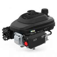 Двигатель бензиновый EVOline XP 200 A (D 22,2 мм, L 80 мм) (произведено Zongshen)