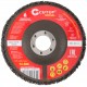 Круг зачистной полимерный для УШМ 125 х 22,2 мм, CUTOP Special (74-586)