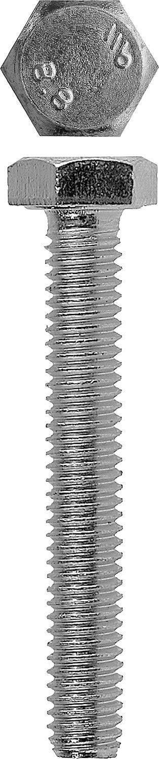 Болт M12 x 55 мм, кл. пр. 5.8, цинк, 3 шт ЗУБР DIN 933 4-303076-12-055