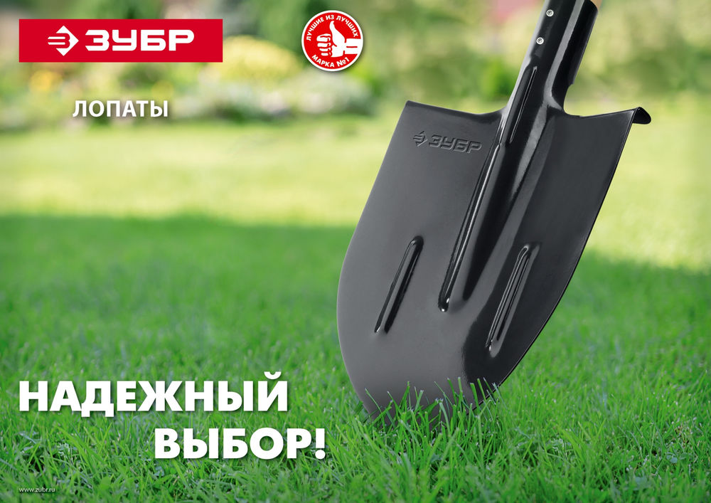 Штыковая лопата 474 х 215 мм полотно 1.6 мм закалено без черенка тип ЛСГ ЗУБР Мастер 39413