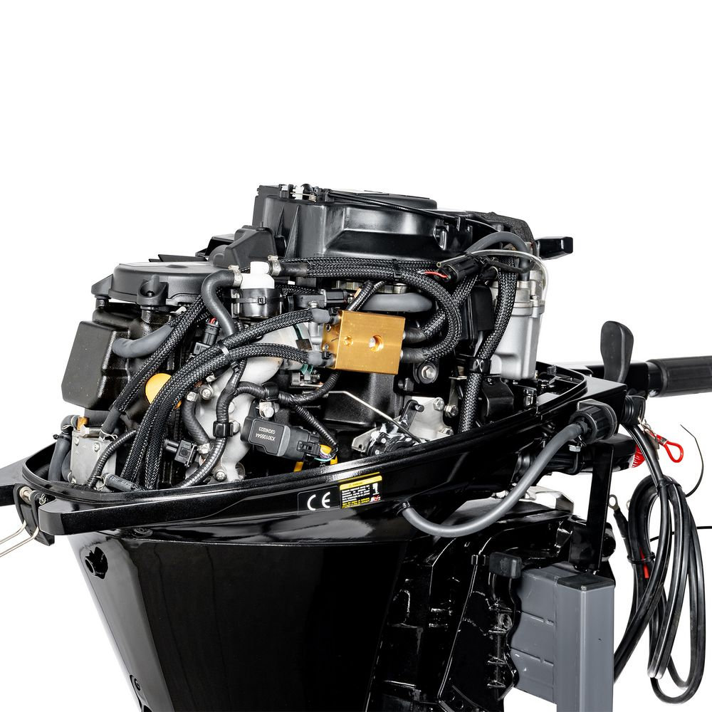 F20AFWS-EFI (F20AFWS-EFI)