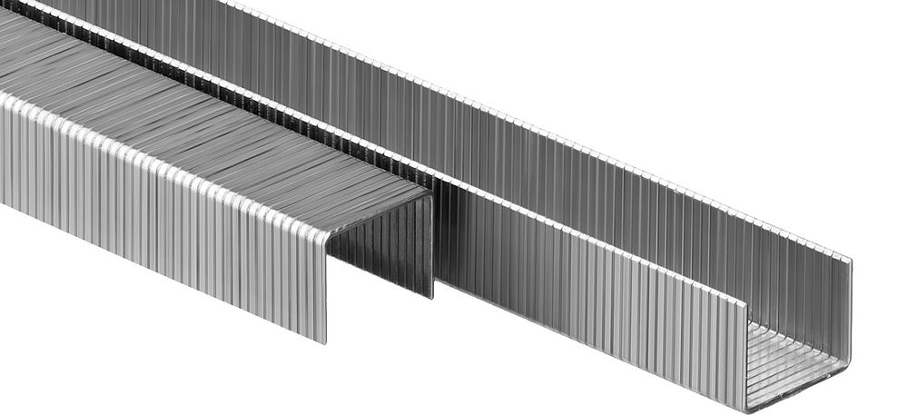 Скобы 10 мм, тип 80 (BeA/Prebena A/Senco AT), калибр 21GA, 5000 шт Профессионал ЗУБР 31880-10