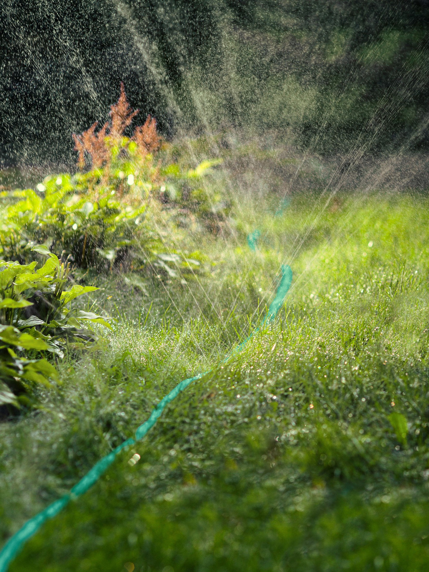 GRINDA S-15, 15 м, микроперфорация, шланг-дождеватель, PROLine (8-429015-15)