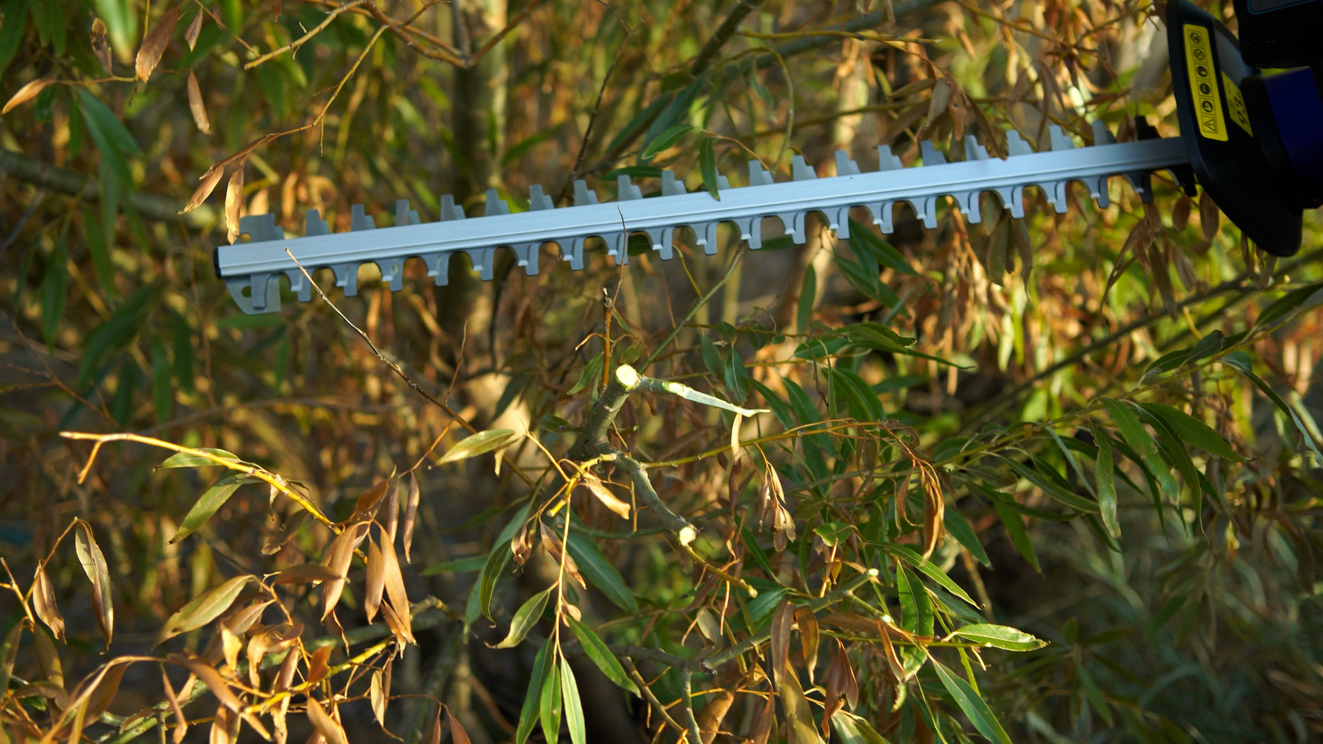 Кусторез аккумуляторный, 58В, 69 см.