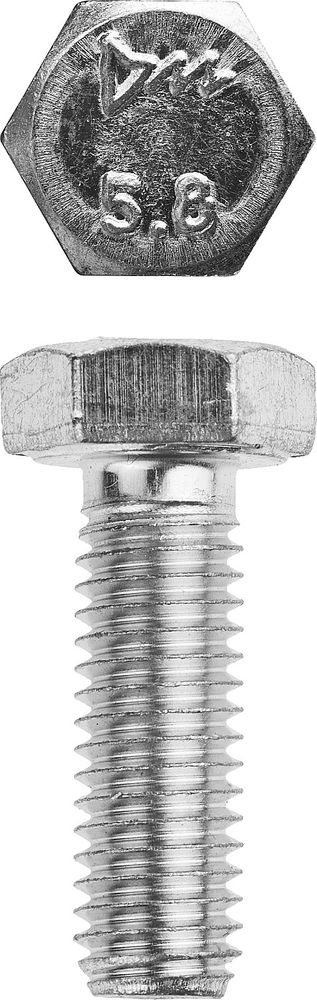 Болт M8 x 30 мм, кл. пр. 5.8, цинк, 5 кг, ГОСТ 7798-70 ЗУБР 303080-08-030