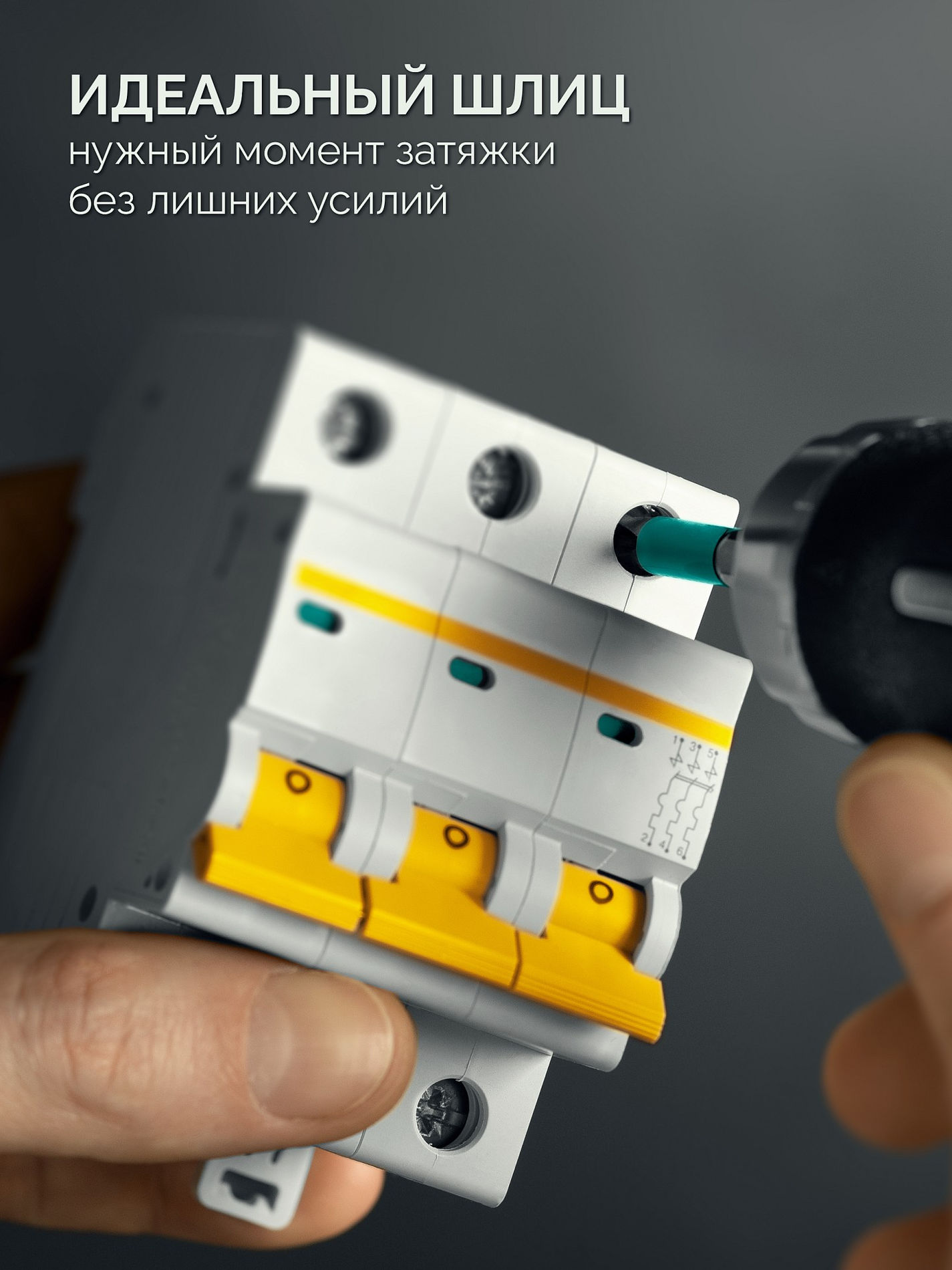 KRAFTOOL OPTIMUM PZ/FL 1, 50 мм, 2 шт, биты (261241-1-50-2)